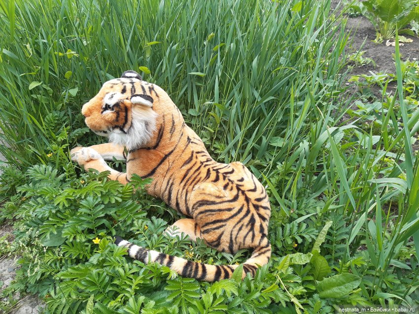 Полосатый нянька — Куклы с Алиэкспресс (Aliexpress): Китайские шарнирные