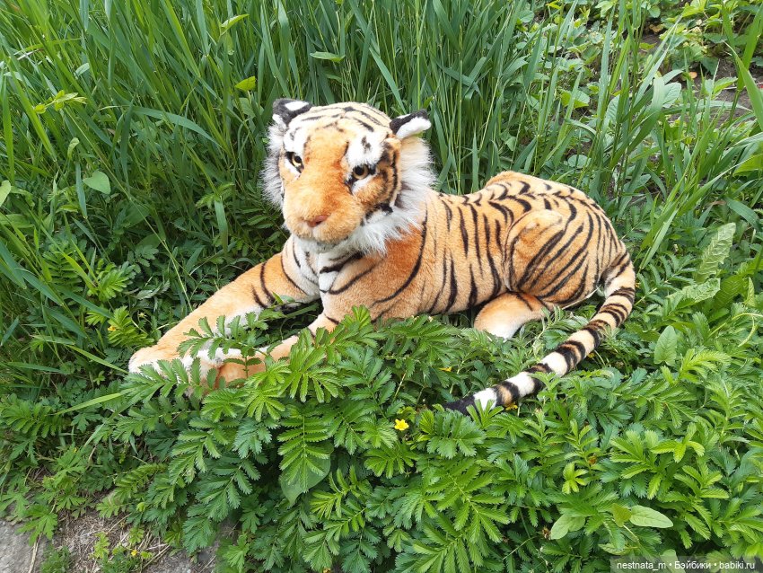 Полосатый нянька — Куклы с Алиэкспресс (Aliexpress): Китайские шарнирные