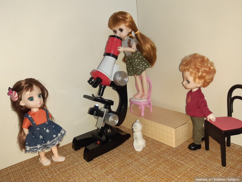 Любознательный народ — Куклы Baboliy (Баболи