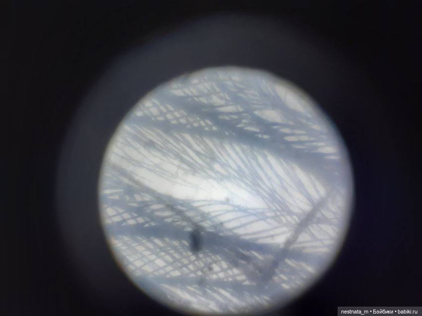 Любознательный народ — Куклы Baboliy (Баболи