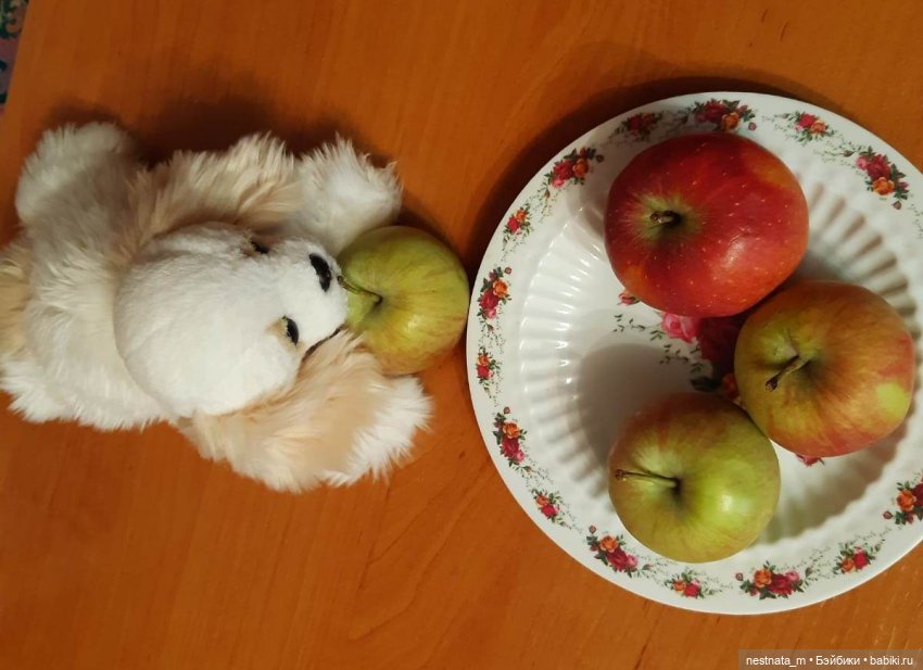 Собака Пушинка — Интересные игрушки и фигурки (разное): редкие (фото 4)