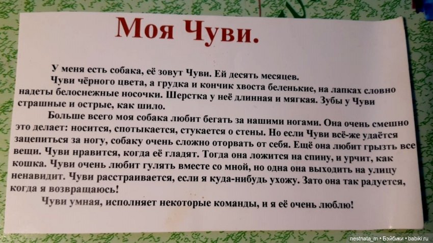 Собака Пушинка — Интересные игрушки и фигурки (разное): редкие