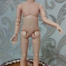 Шарнирное тело для паола мини (мальчик)