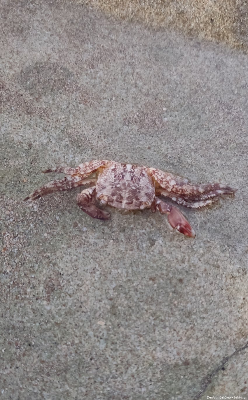 Закат на море — Куклы Rainbow High (Рейнбоу Хай