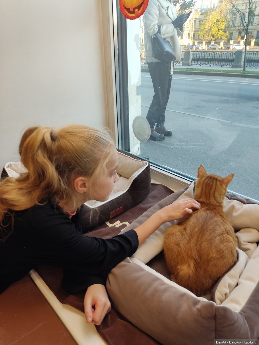 Люся-следопыт — Гибриды шарнирных кукол (не БЖД): подбор тела (фото 8)