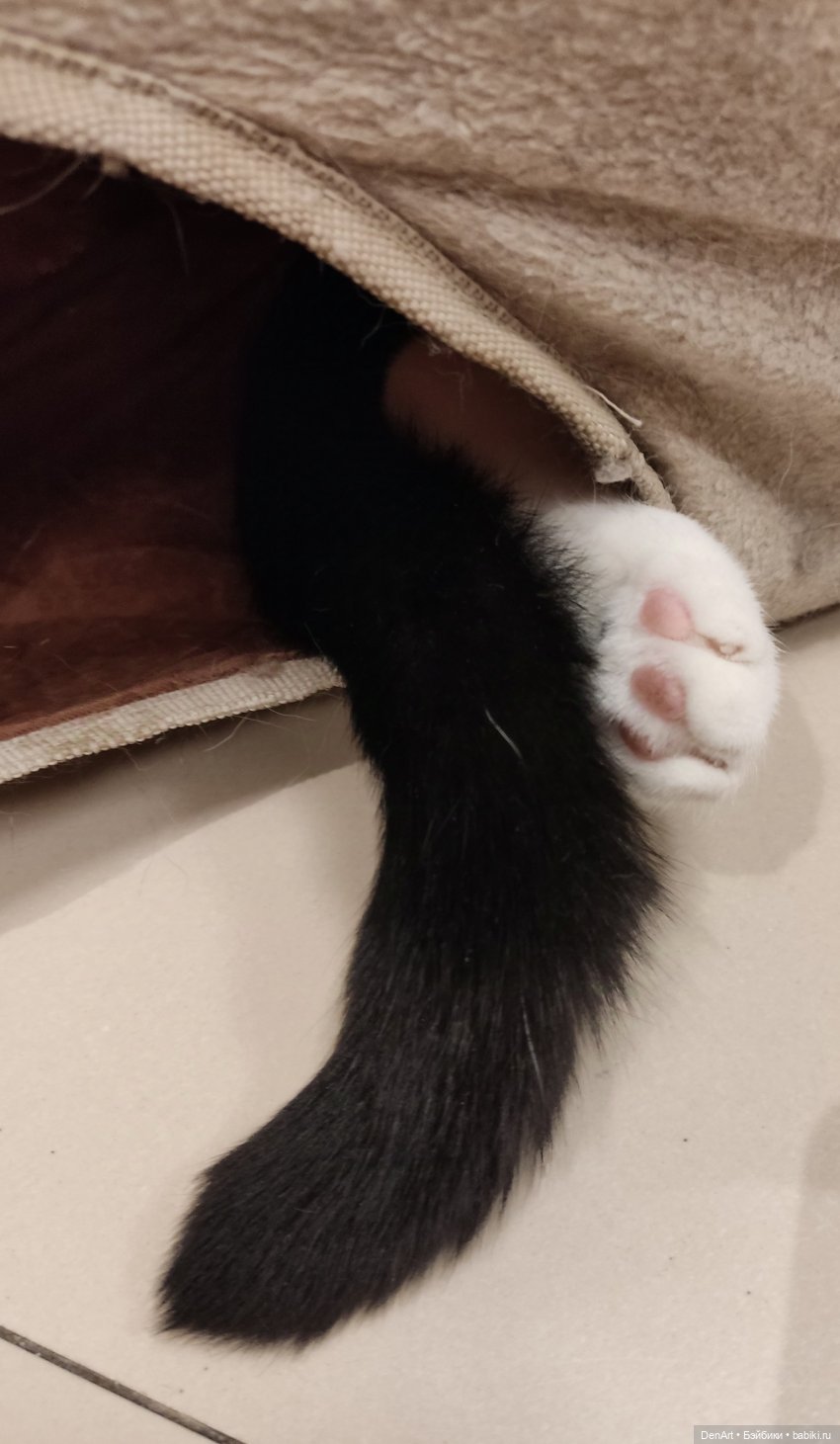 Люся-следопыт — Гибриды шарнирных кукол (не БЖД): подбор тела