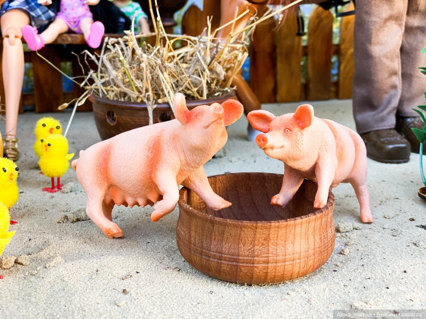 Жизнь деревенская. Хозяйство Савелия (фото 7)