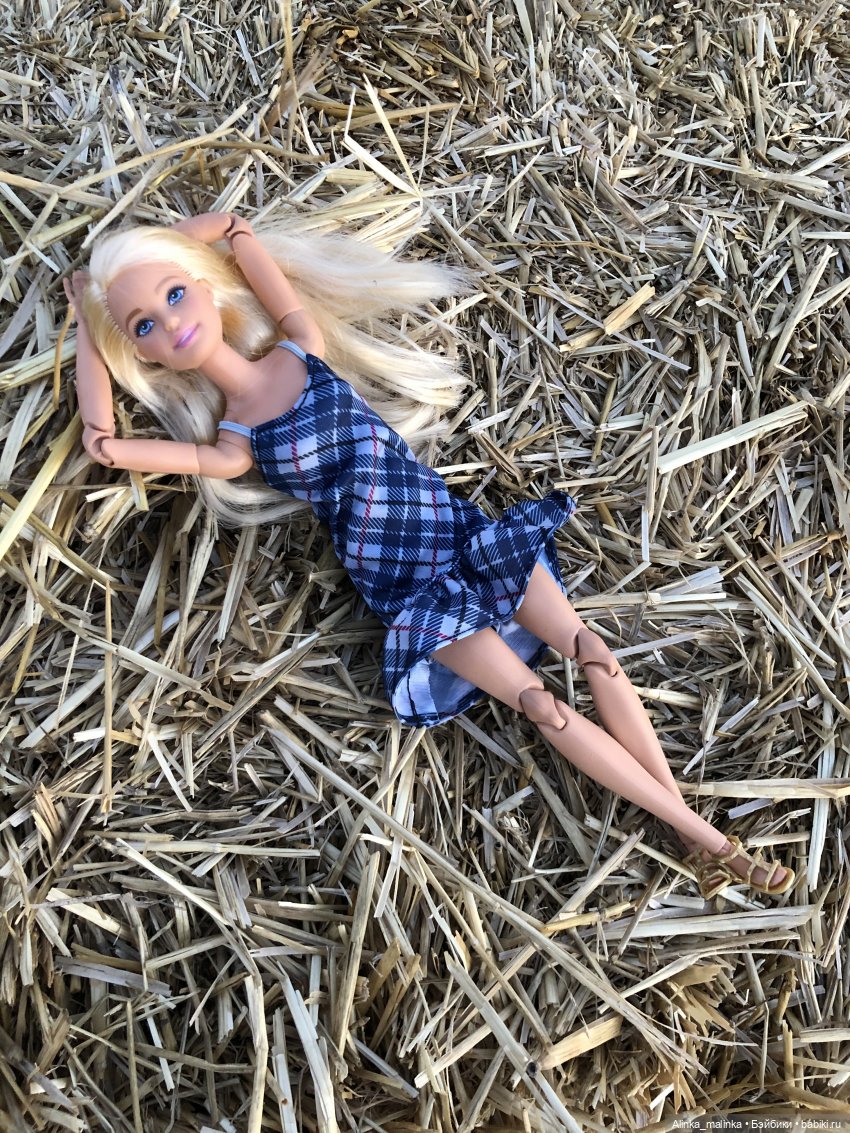 Жизнь деревенская. Хозяйство Савелия