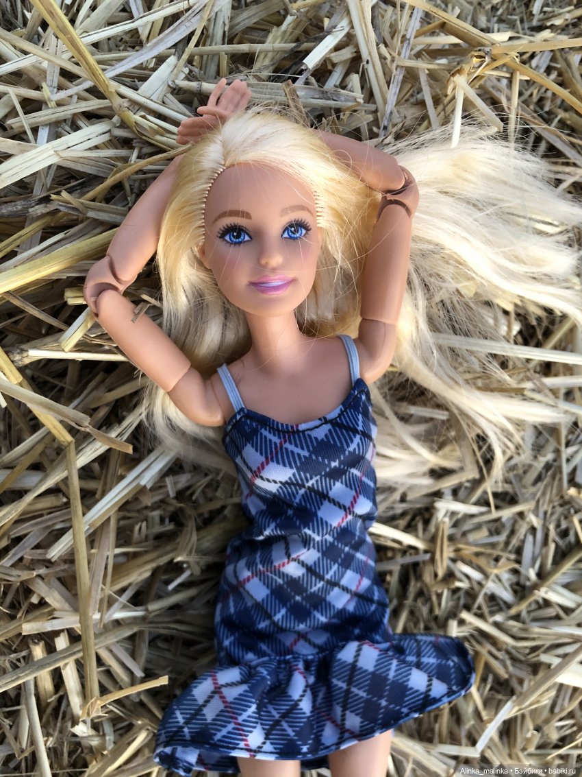 Жизнь деревенская. Хозяйство Савелия