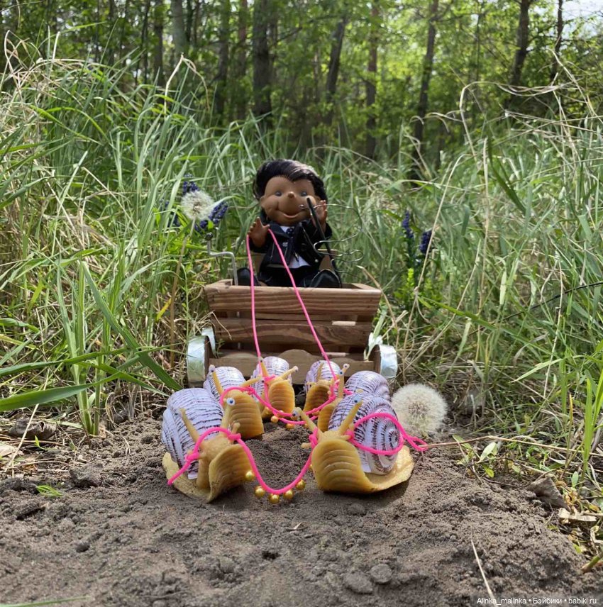 Навстречу приключениям. Ёжики