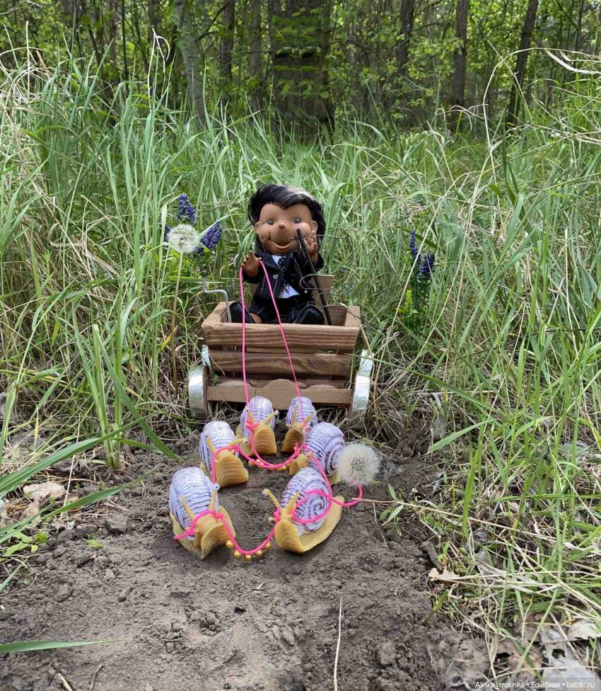 Навстречу приключениям. Ёжики