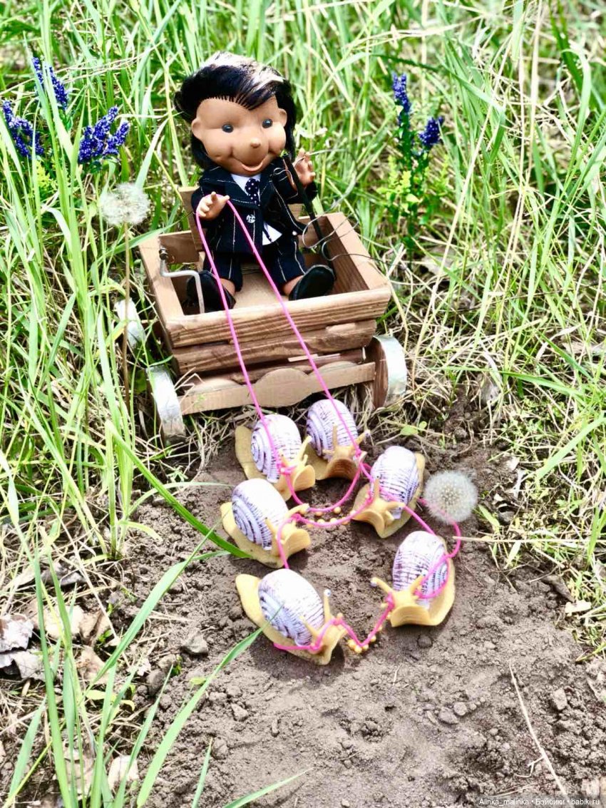 Навстречу приключениям. Ёжики