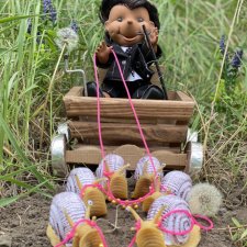 Навстречу приключениям. Ёжики