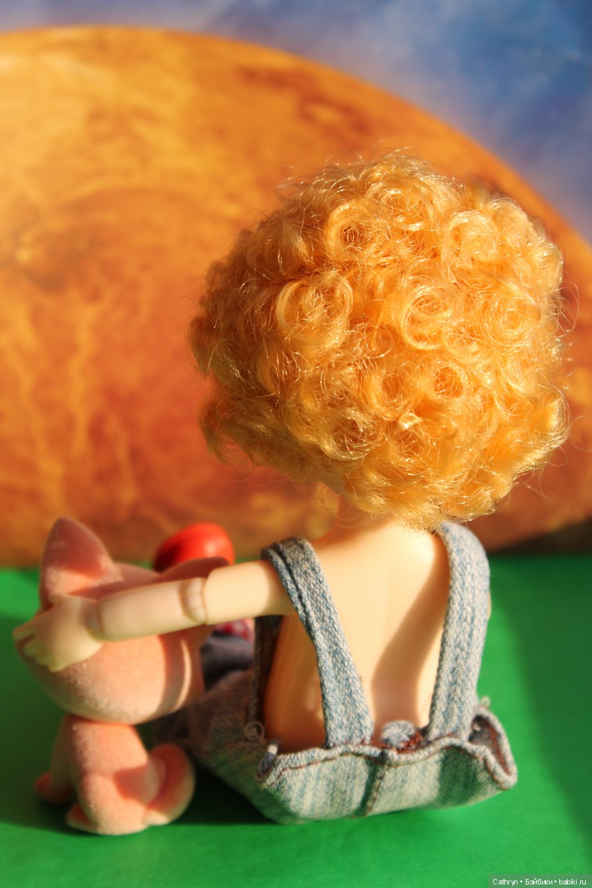 Мой Маленький Принц — Разные шарнирные куклы (не БЖД): редкие