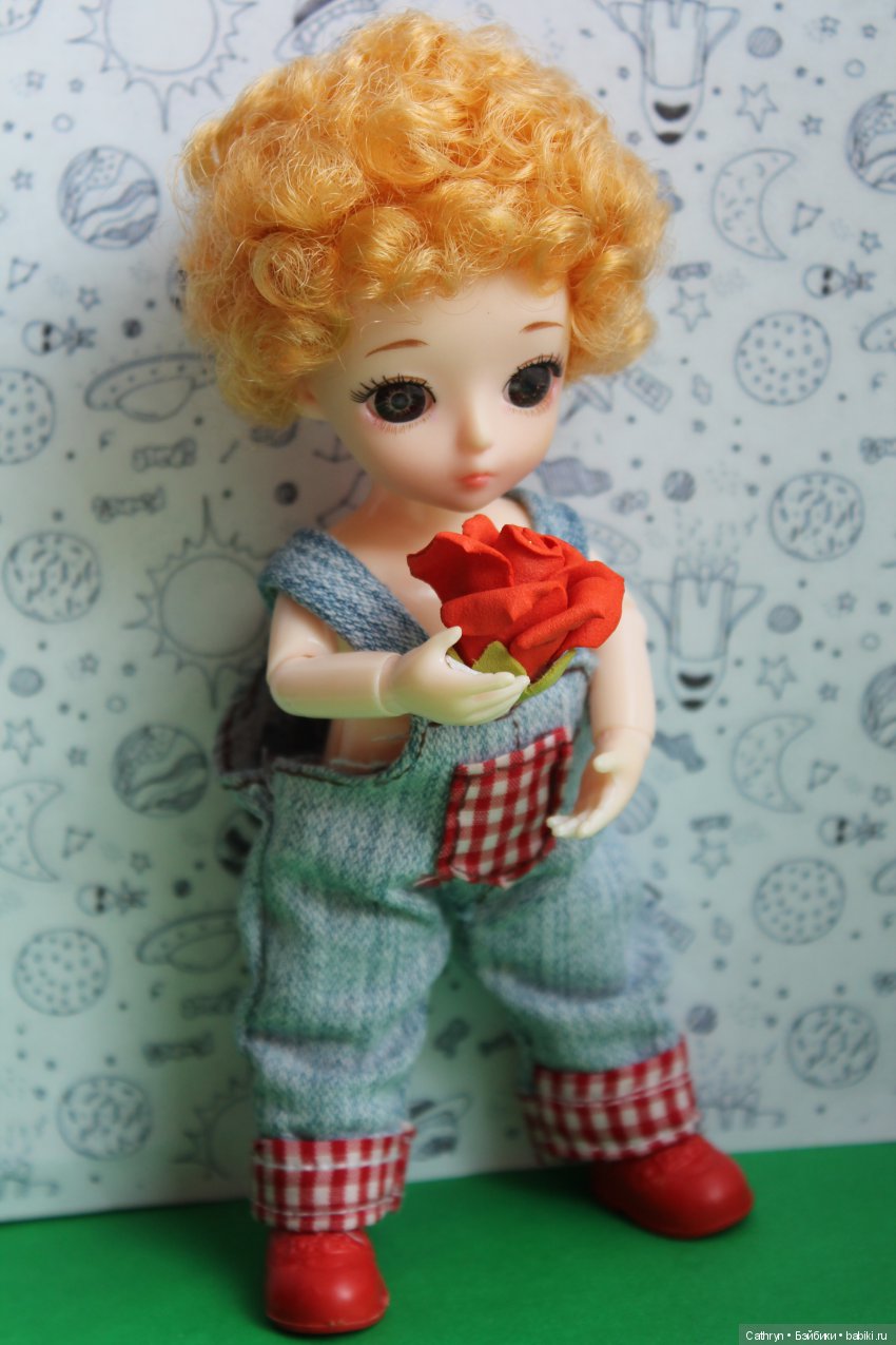 Мой Маленький Принц — Разные шарнирные куклы (не БЖД): редкие