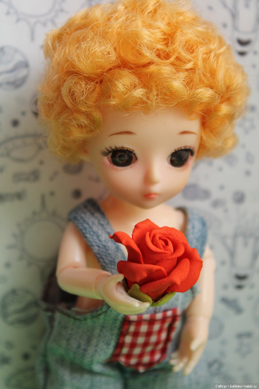 Мой Маленький Принц — Разные шарнирные куклы (не БЖД): редкие