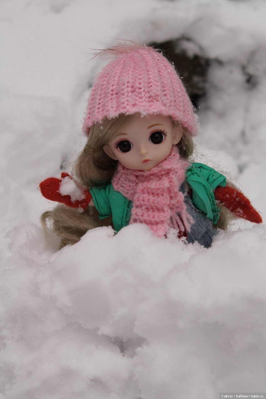 Еще один снежный денёк — Разные шарнирные куклы (не БЖД): редкие (фото 6)