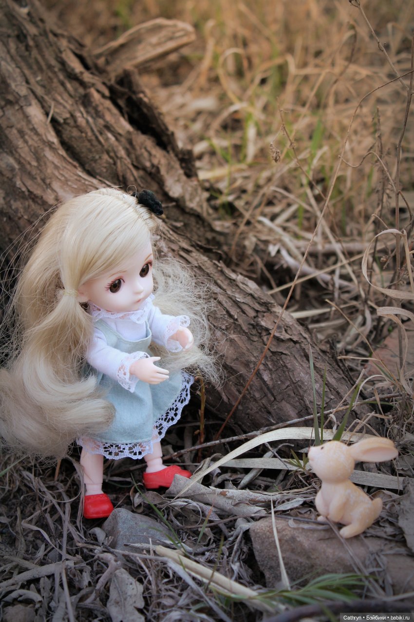 Алиса... в погоне за зайкой (фото 6)