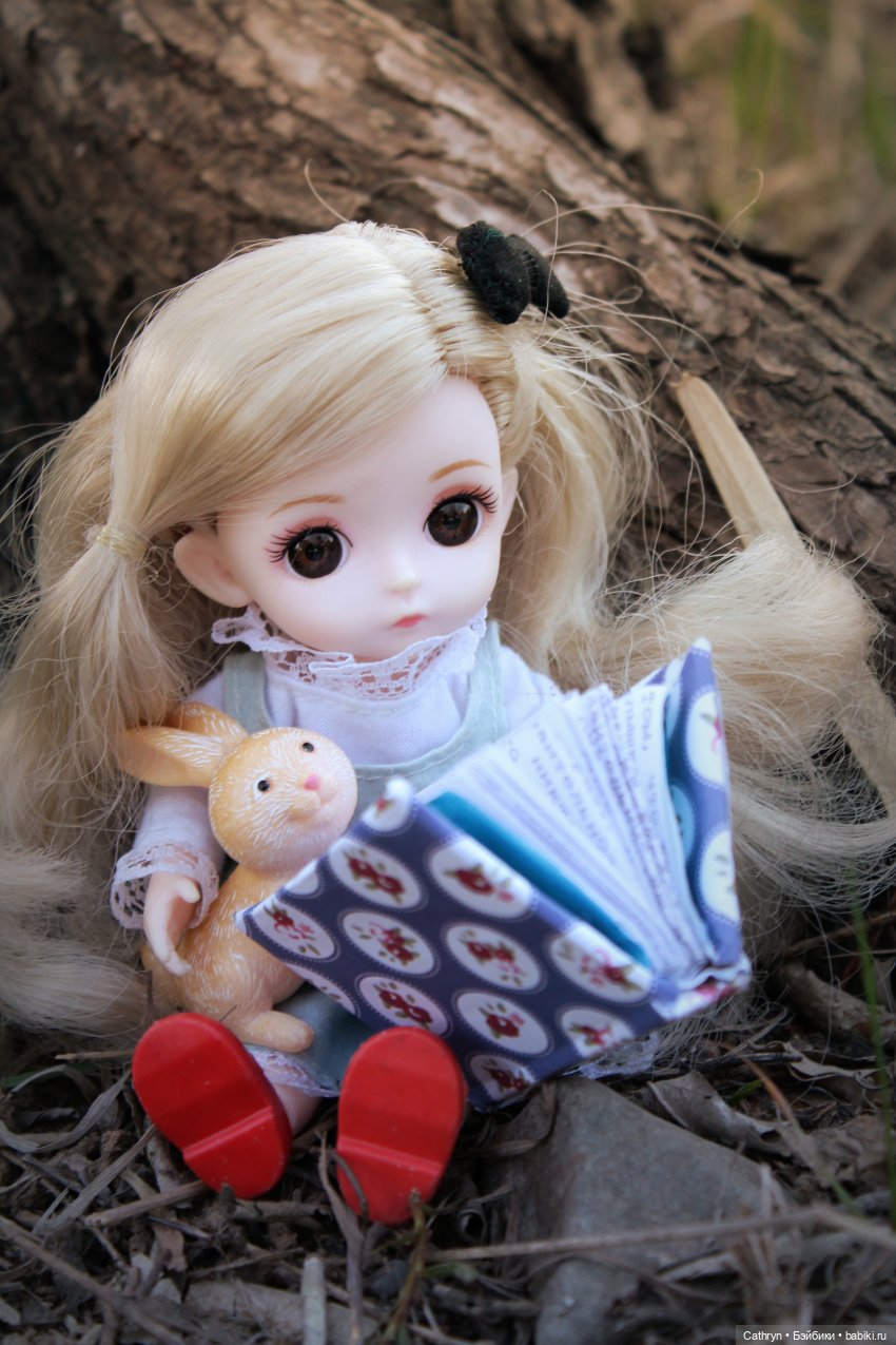 Алиса... в погоне за зайкой (фото 10)