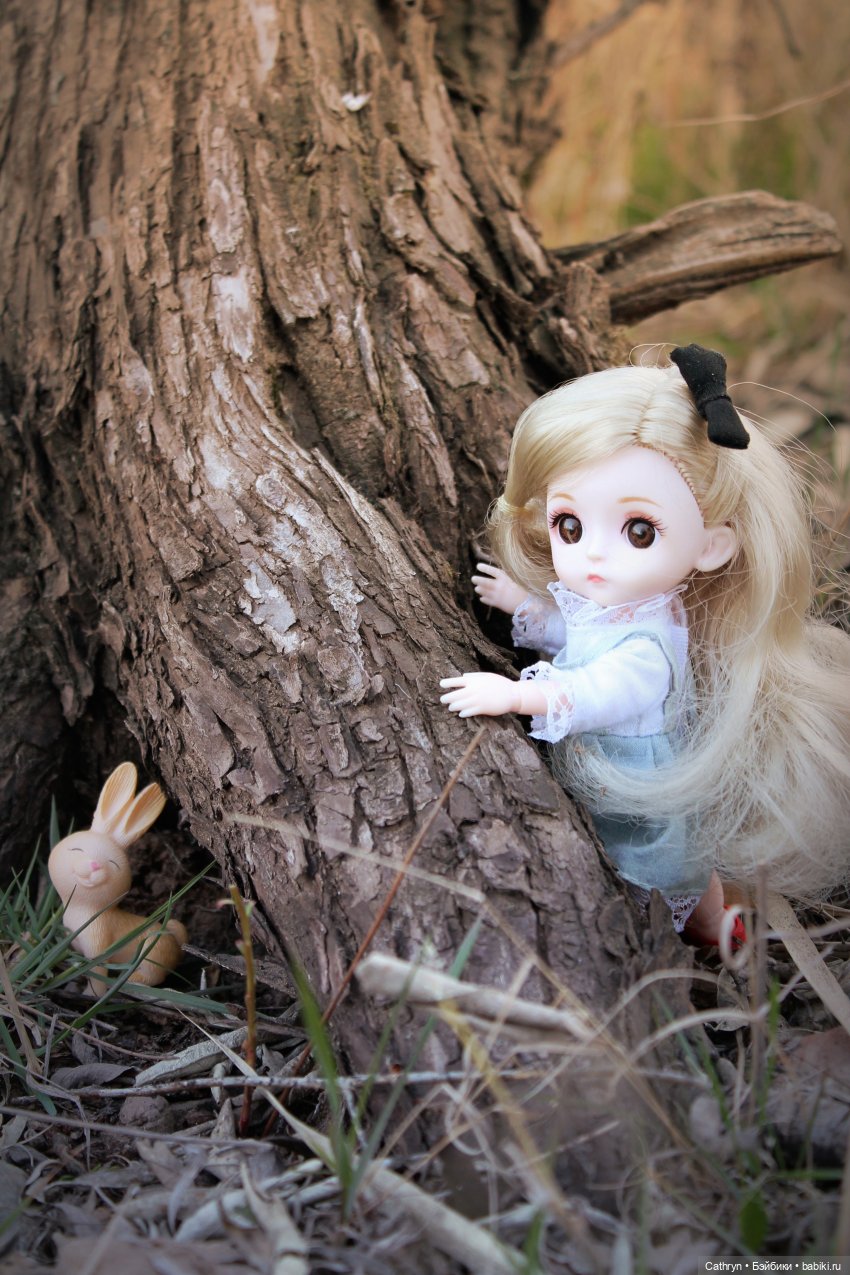 Алиса... в погоне за зайкой (фото 8)