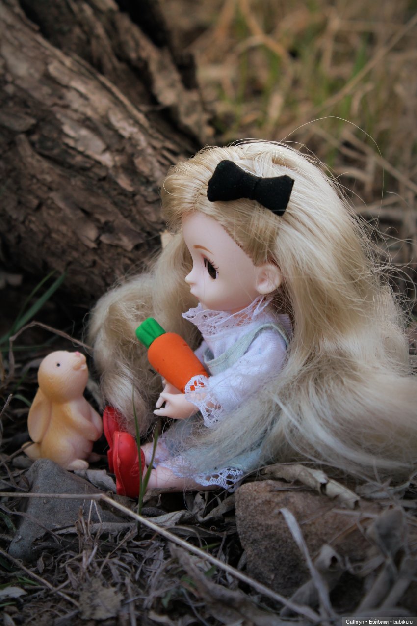 Алиса... в погоне за зайкой (фото 9)