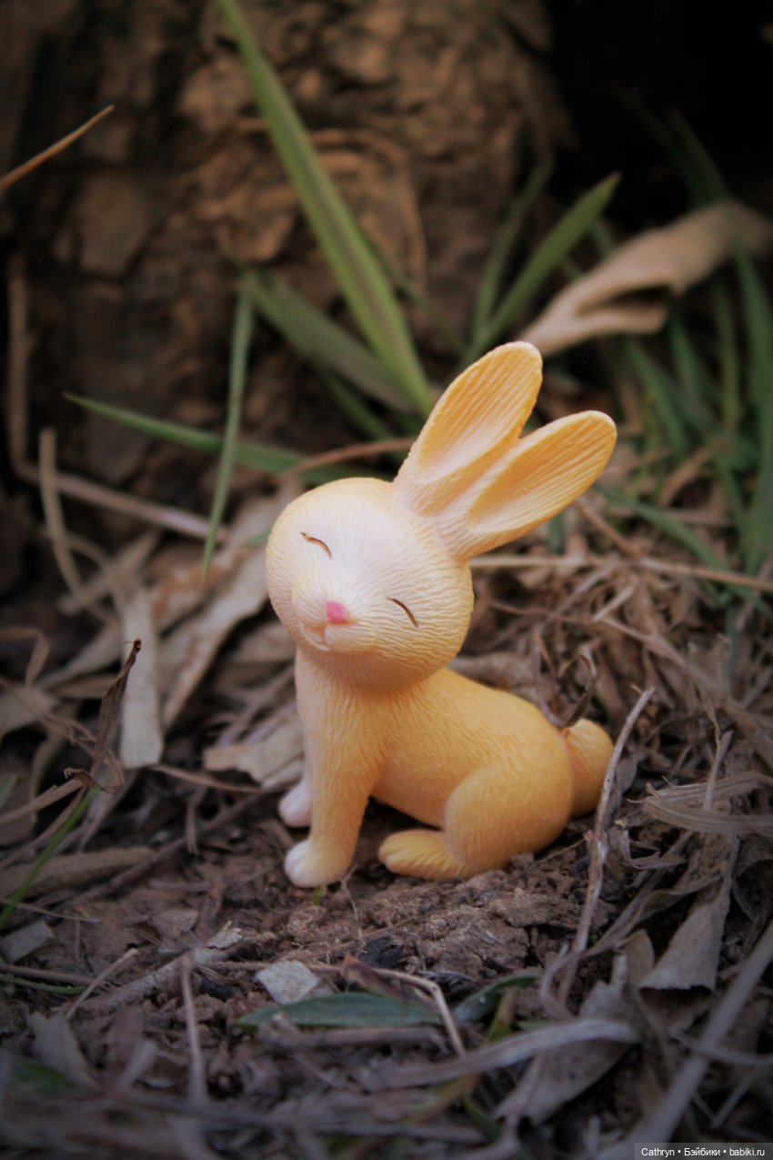 Алиса... в погоне за зайкой