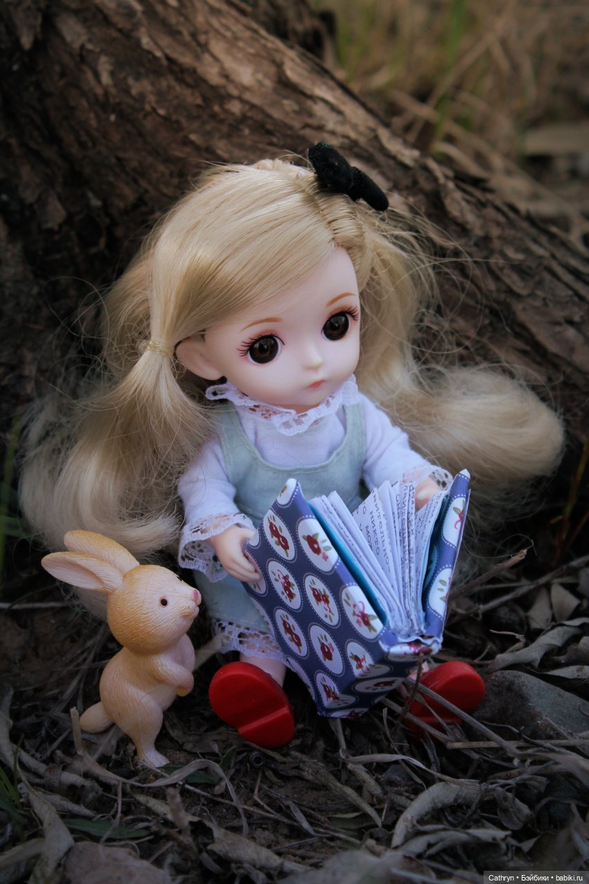 Алиса... в погоне за зайкой (фото 3)