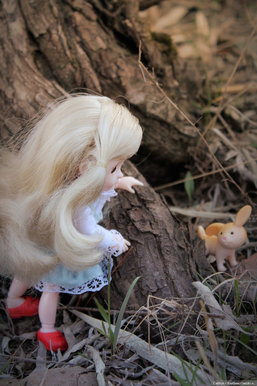 Алиса... в погоне за зайкой (фото 7)