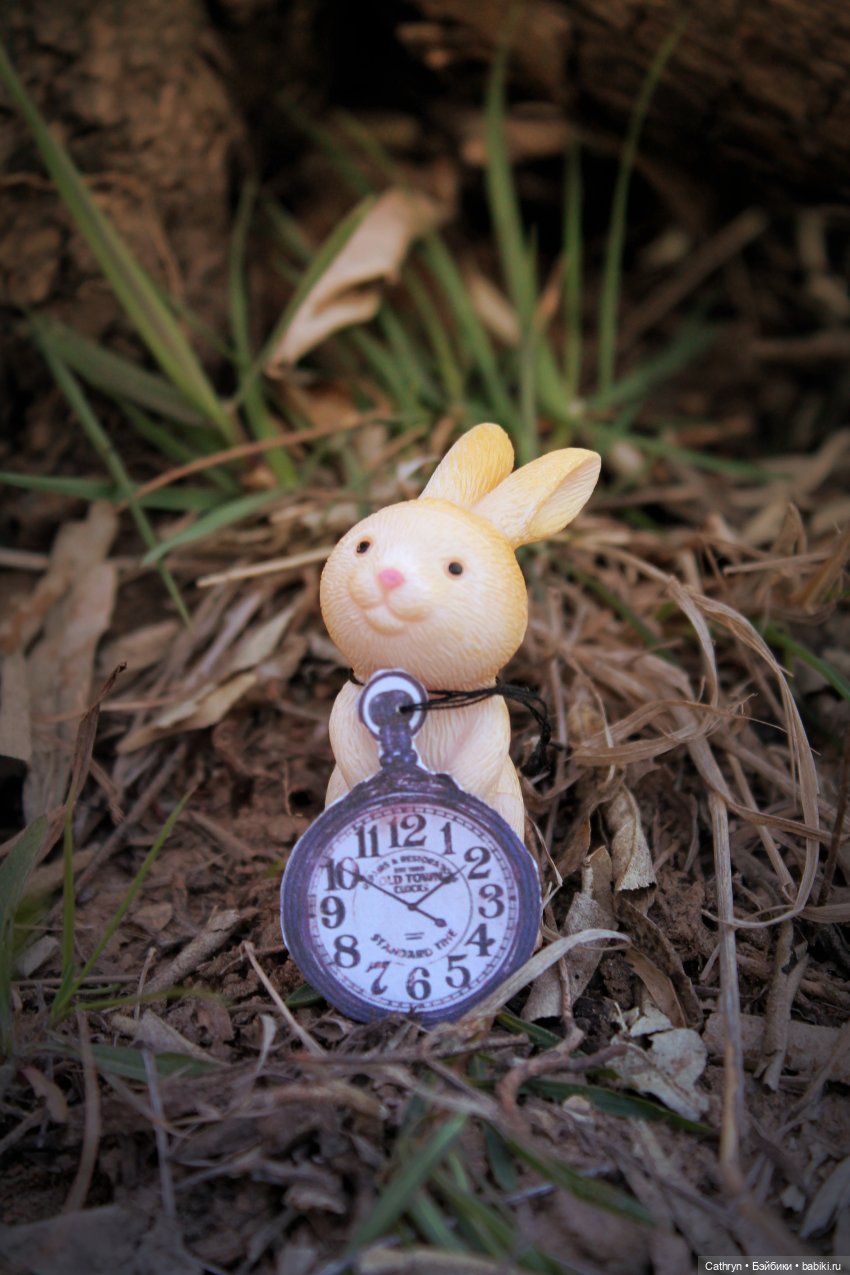 Алиса... в погоне за зайкой (фото 2)