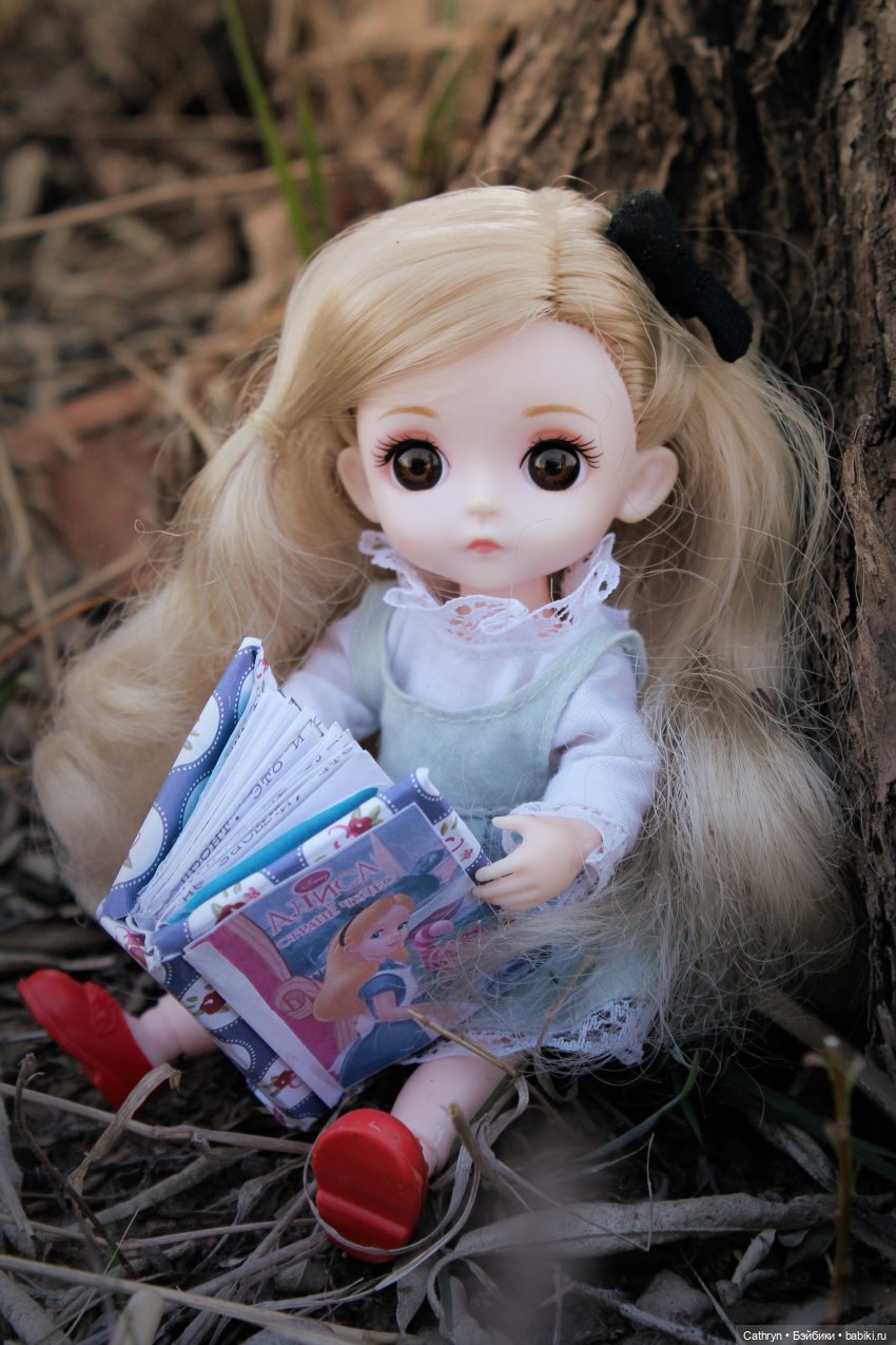 Алиса... в погоне за зайкой