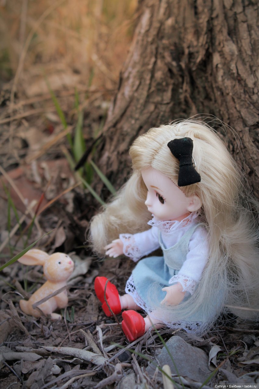 Алиса... в погоне за зайкой (фото 5)