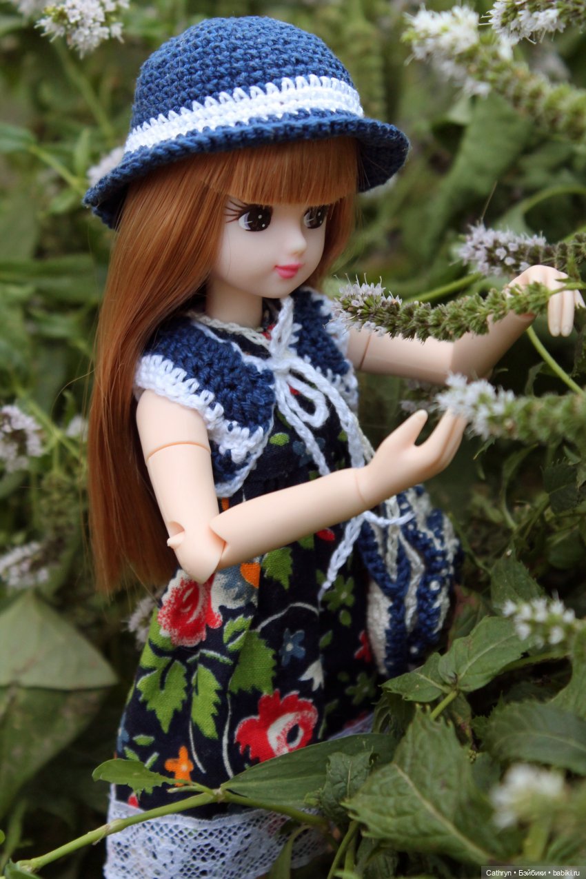 Куклы Takara Tomy (Такара): Licca (Ликка) (фото 5)