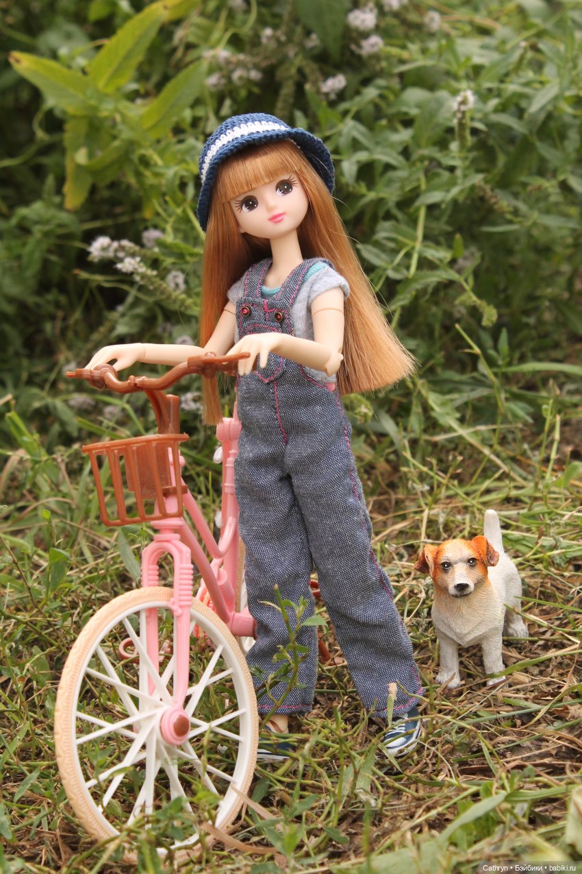 Мэй и Айбо. Ещё одна прогулка (фото 4)