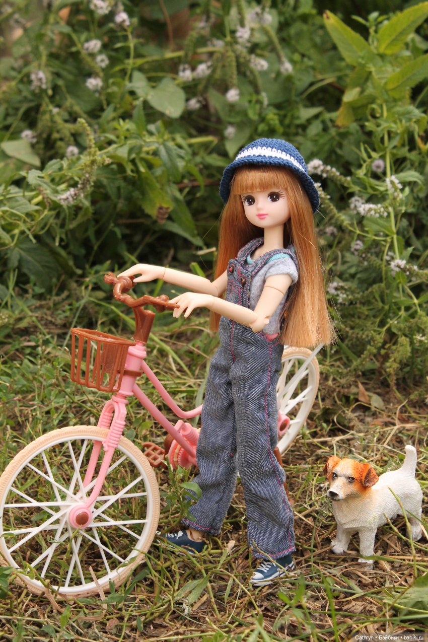 Мэй и Айбо. Ещё одна прогулка (фото 2)