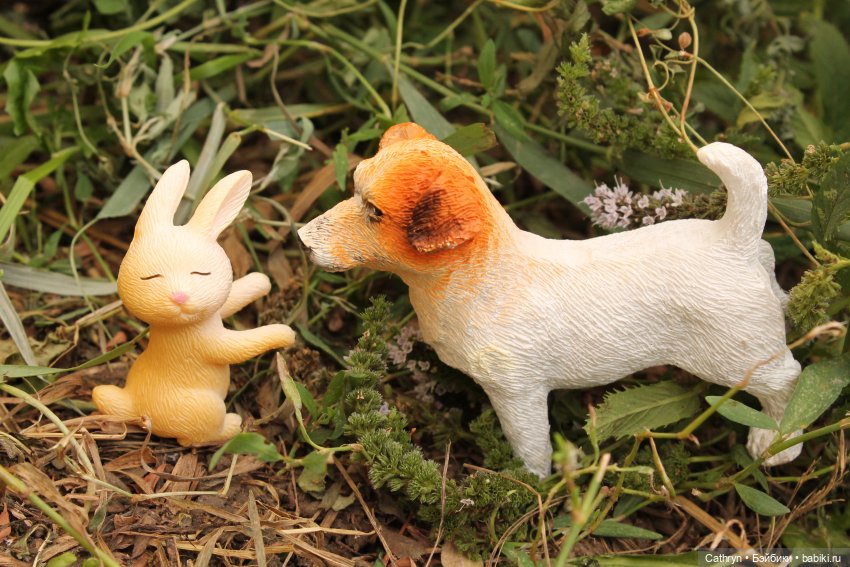 Мэй и Айбо. Ещё одна прогулка (фото 10)