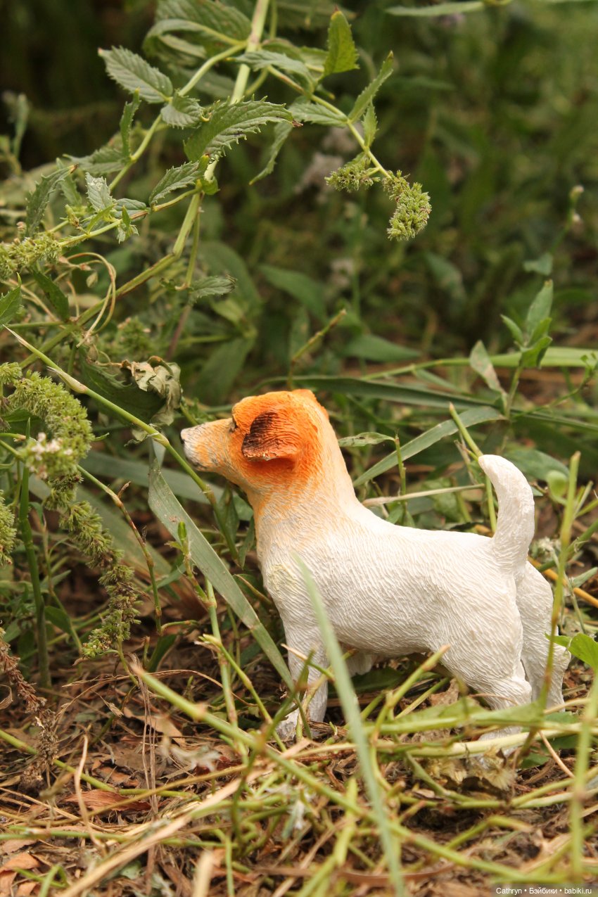 Мэй и Айбо. Ещё одна прогулка (фото 6)
