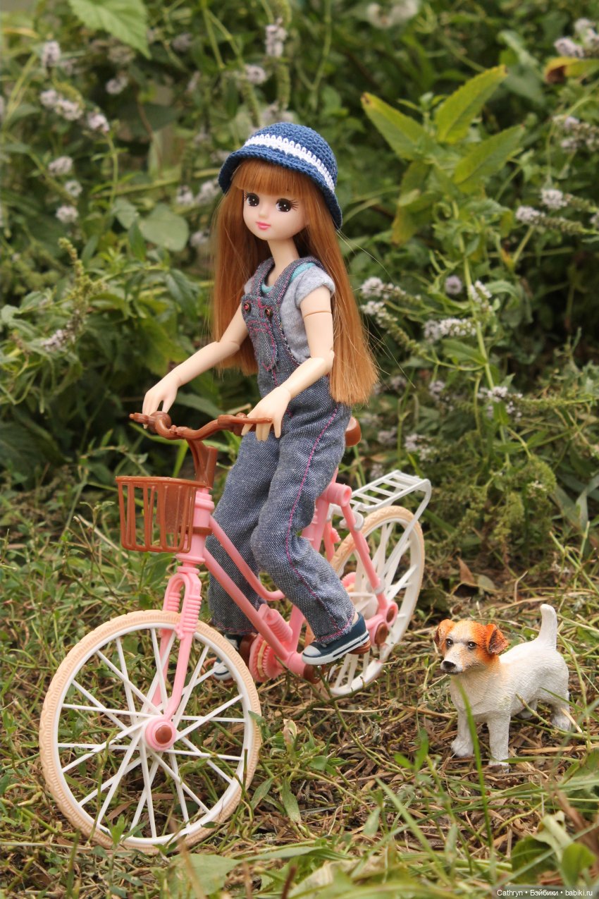 Мэй и Айбо. Ещё одна прогулка (фото 3)