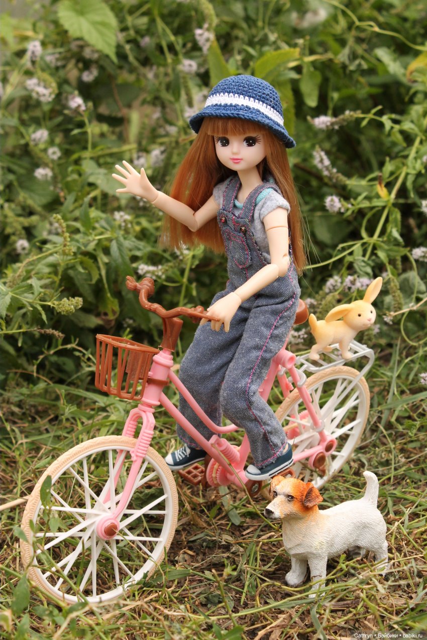 Мэй и Айбо. Ещё одна прогулка