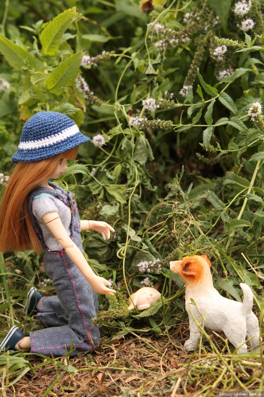 Мэй и Айбо. Ещё одна прогулка (фото 8)