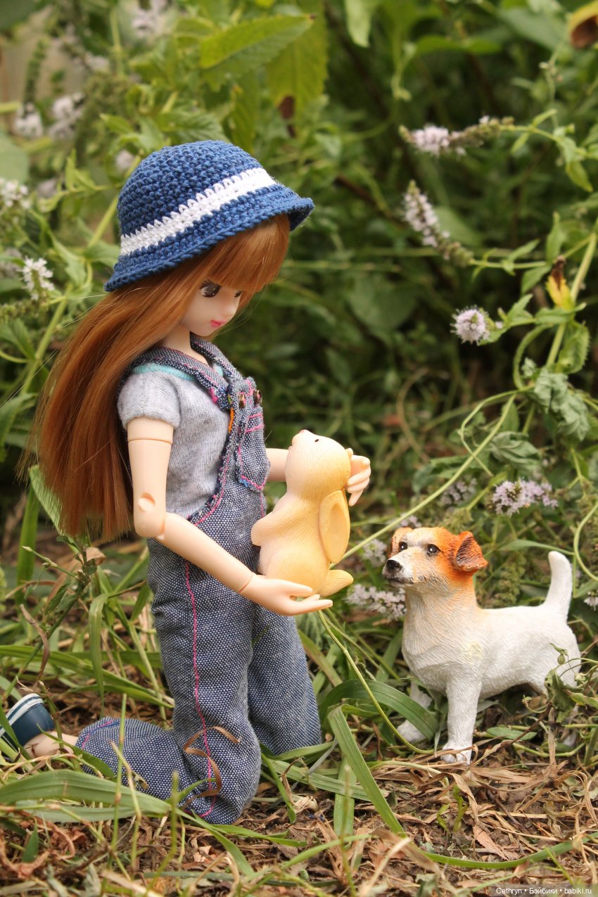 Мэй и Айбо. Ещё одна прогулка