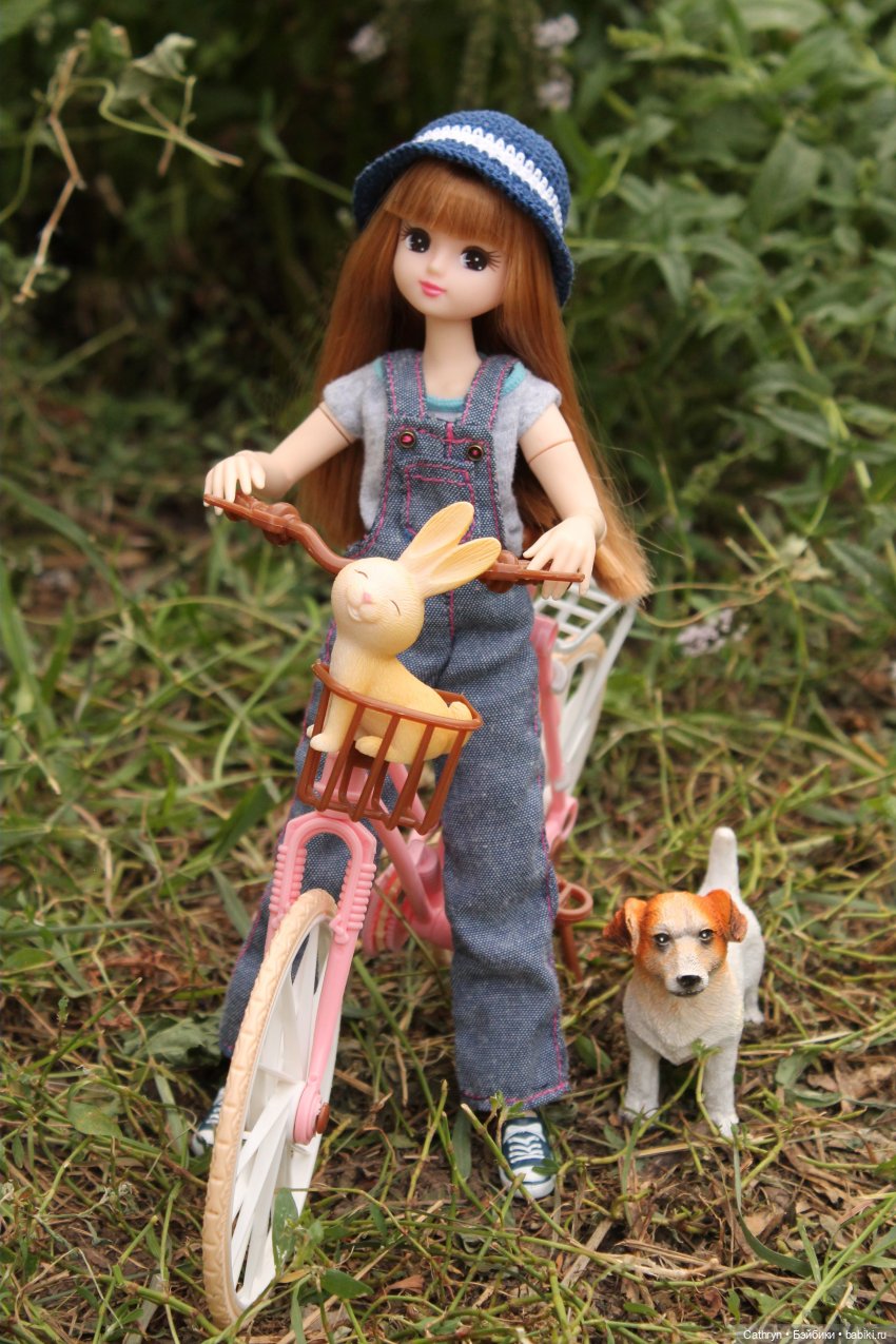 Мэй и Айбо. Ещё одна прогулка