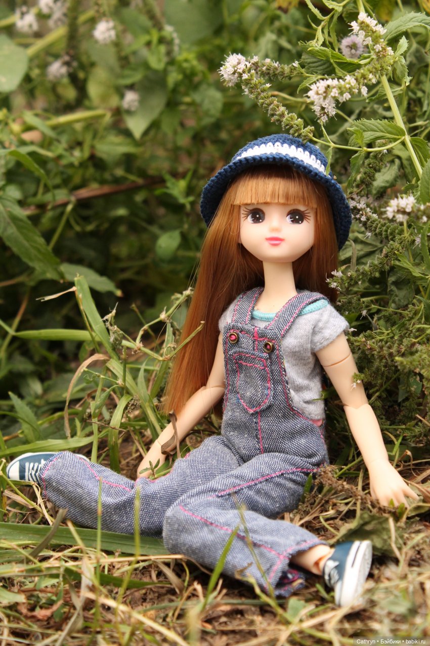 Мэй и Айбо. Ещё одна прогулка (фото 5)