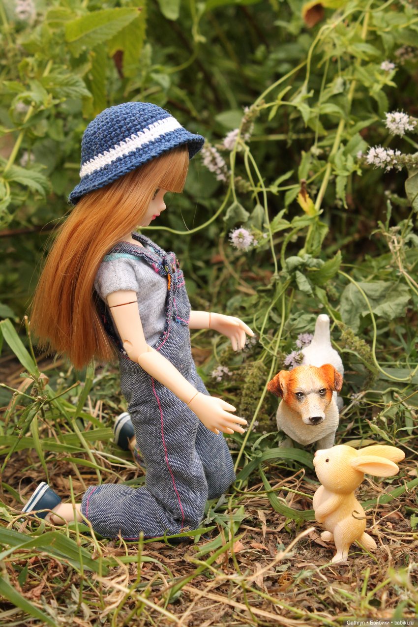 Мэй и Айбо. Ещё одна прогулка