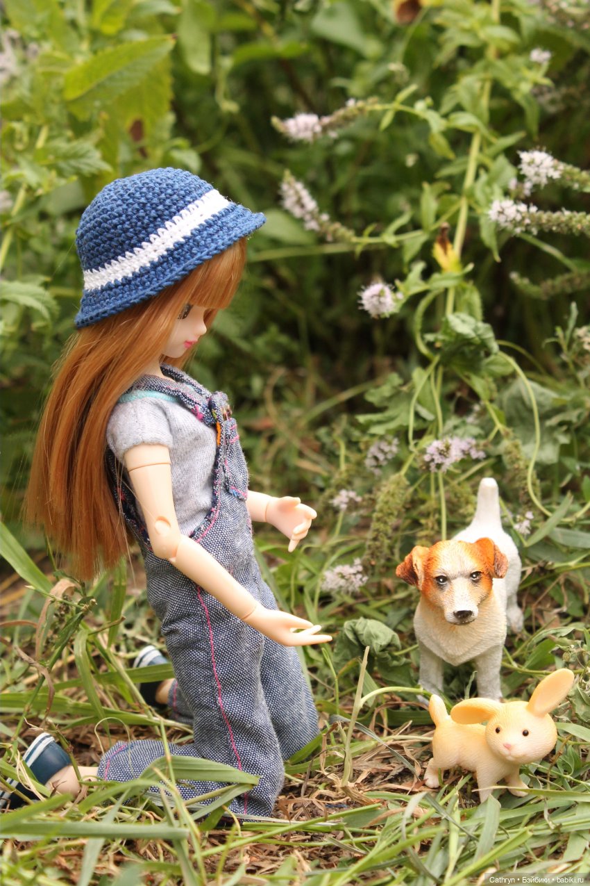 Мэй и Айбо. Ещё одна прогулка