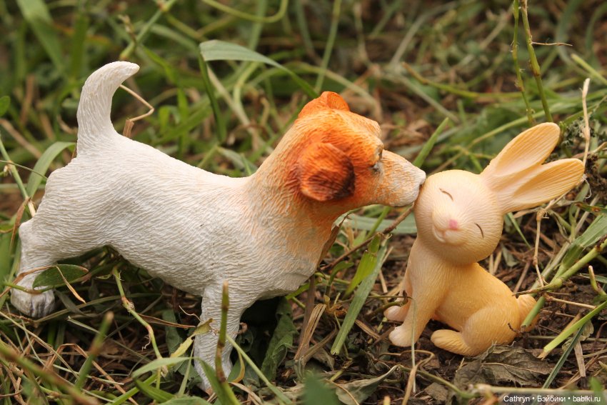 Мэй и Айбо. Ещё одна прогулка