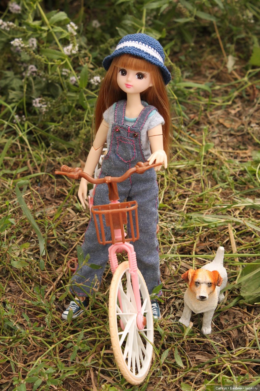 Мэй и Айбо. Ещё одна прогулка