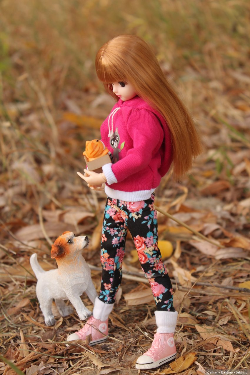 Мэй и осень — Куклы Takara Tomy (Такара): Licca (Ликка)