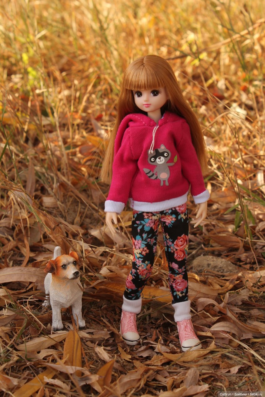 Мэй и осень — Куклы Takara Tomy (Такара): Licca (Ликка) (фото 6)