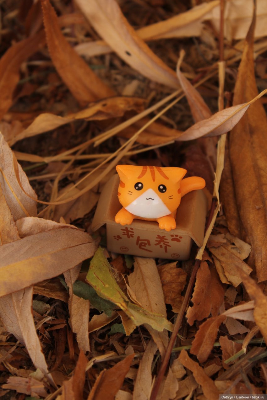 Мэй и осень — Куклы Takara Tomy (Такара): Licca (Ликка) (фото 9)