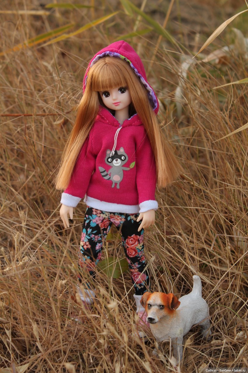 Мэй и осень — Куклы Takara Tomy (Такара): Licca (Ликка)